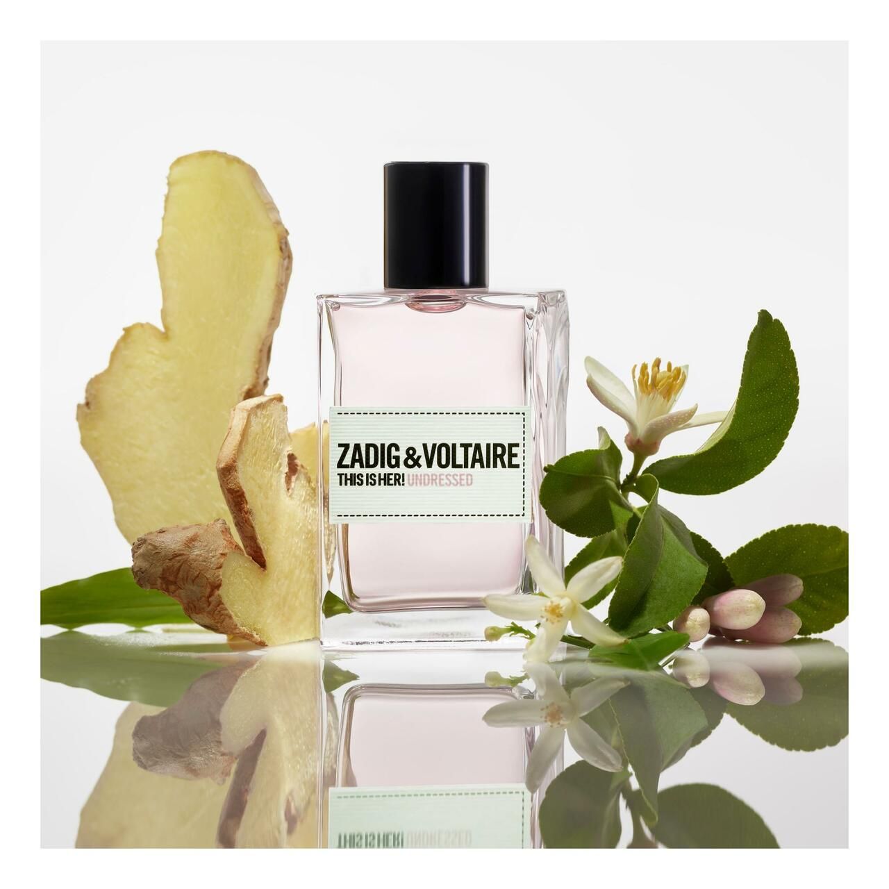 Zadig & Voltaire This is Her! Undressed EdP Nat. Spray. Flakon neben Ingwer, Blüten und Blättern. Weißes Etikett mit Produktnamen.