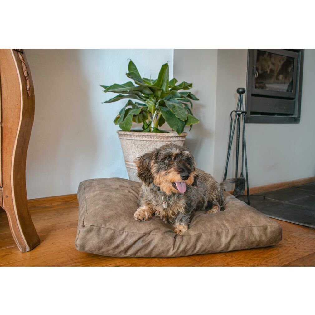 Let's Sleep Plush Pillow Hundebett xl Anthrazit