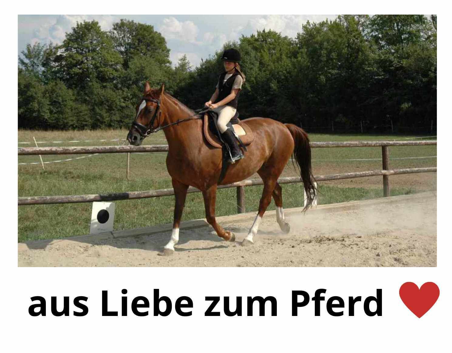 Eine Frau reitet auf einem braunen Pferd. Text: aus Liebe zum Pferd.