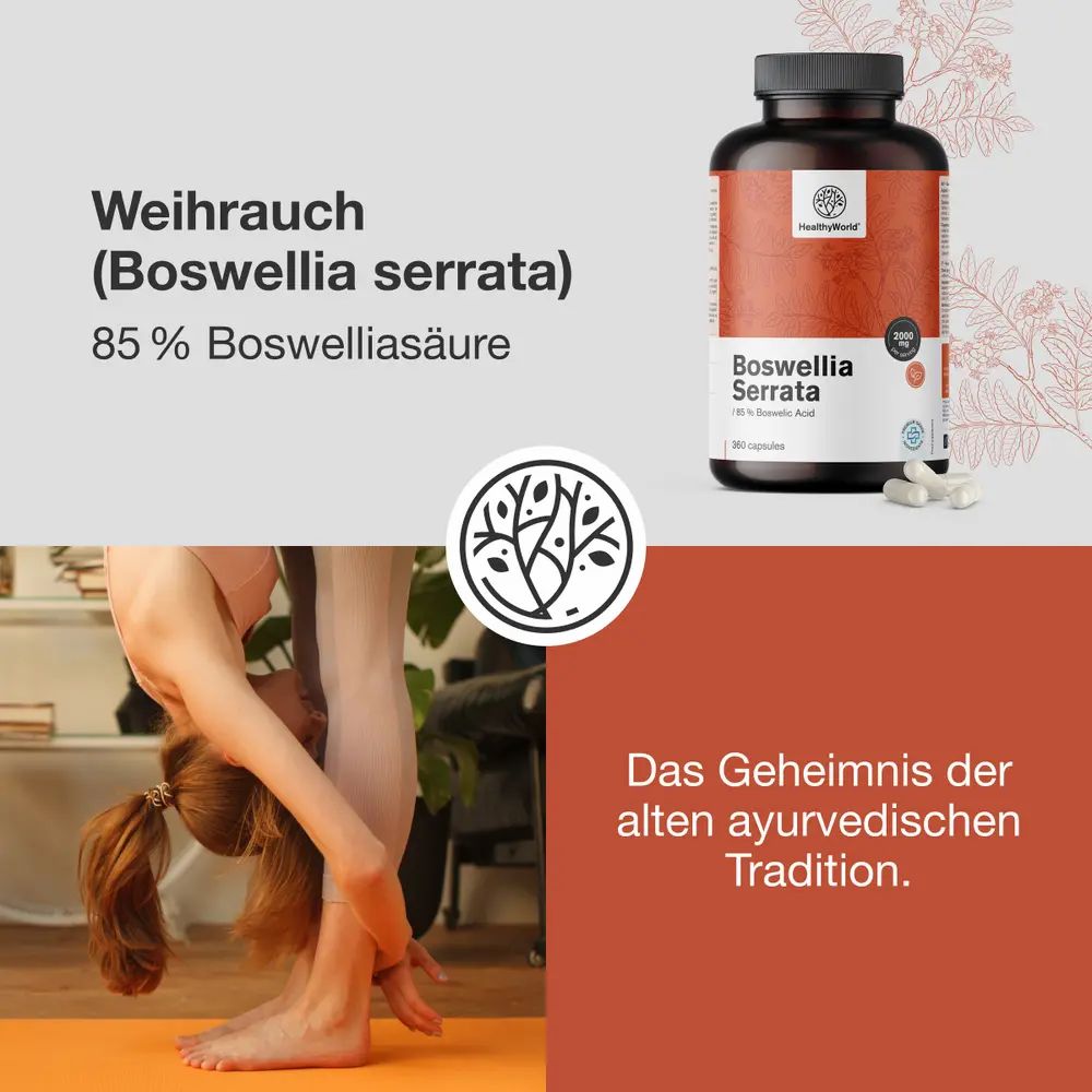 Nahaufnahme von Boswellia Harzstücken neben einer Dose HealthyWorld Boswellia Serrata Kapseln.