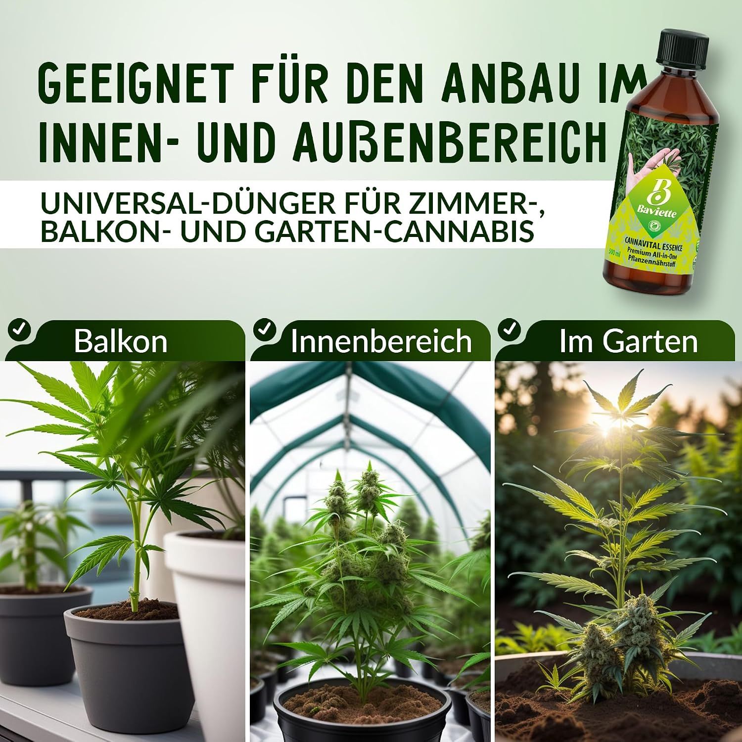 Baviette CannaVital Essence - Organischer Flüssigdünger für Zier- und Grünpflanzen