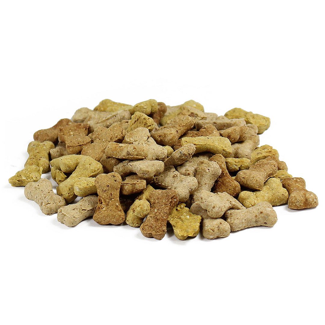 Haufen Hundekekse in Knochenform. Verschiedene Brauntöne und Grün. Auf weißem Hintergrund.