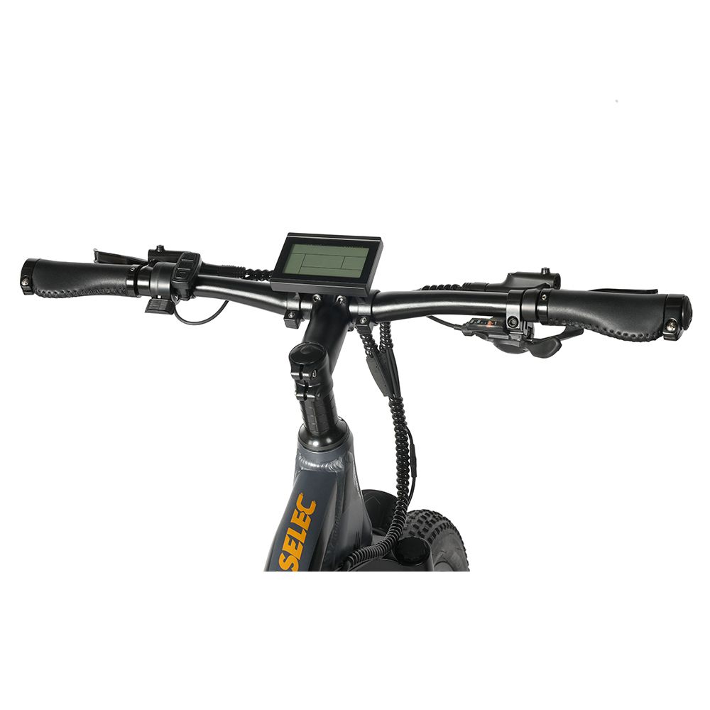 Paselec GS9 Elektrisches Mountainbike, 48V 16Ah herausnehmbarer Akku