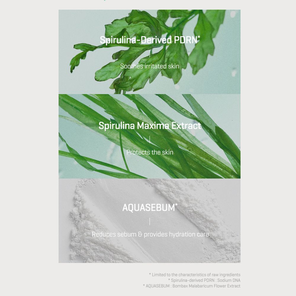 Nahaufnahme von Spirulina-Blättern und Pulver, die Inhaltsstoffe des Primers.