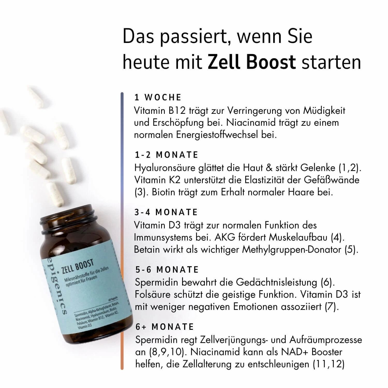 Braune Glasflasche mit weißen Kapseln. Text: epigenics Zell Boost. Auflistung der Inhaltsstoffe und deren Wirkung nach Einnahme.