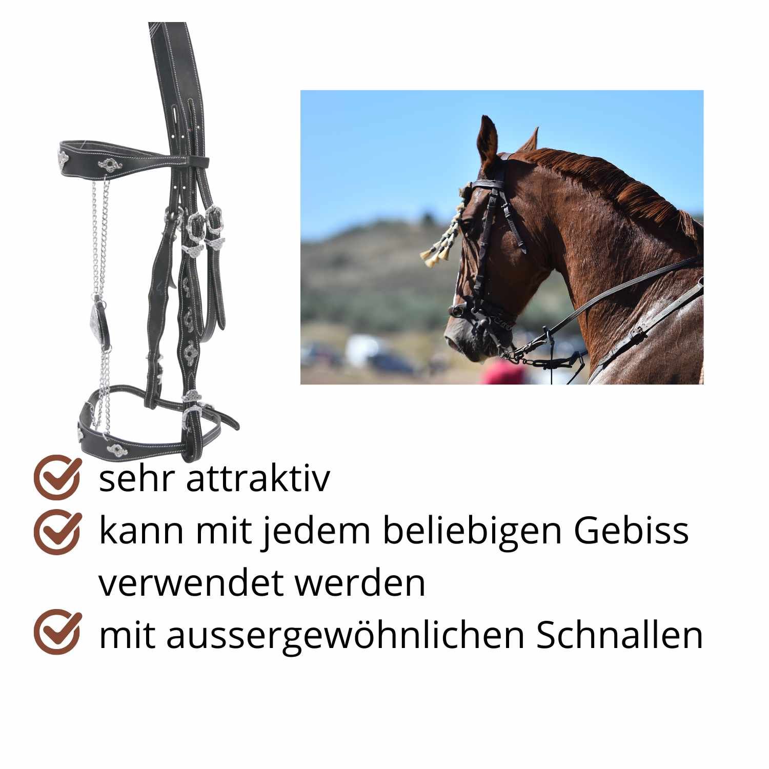 Schwarze Trense mit silberfarbenen Verzierungen. Rechts ein Pferd mit Trense. Text: sehr attraktiv, außergewöhnliche Schnallen.