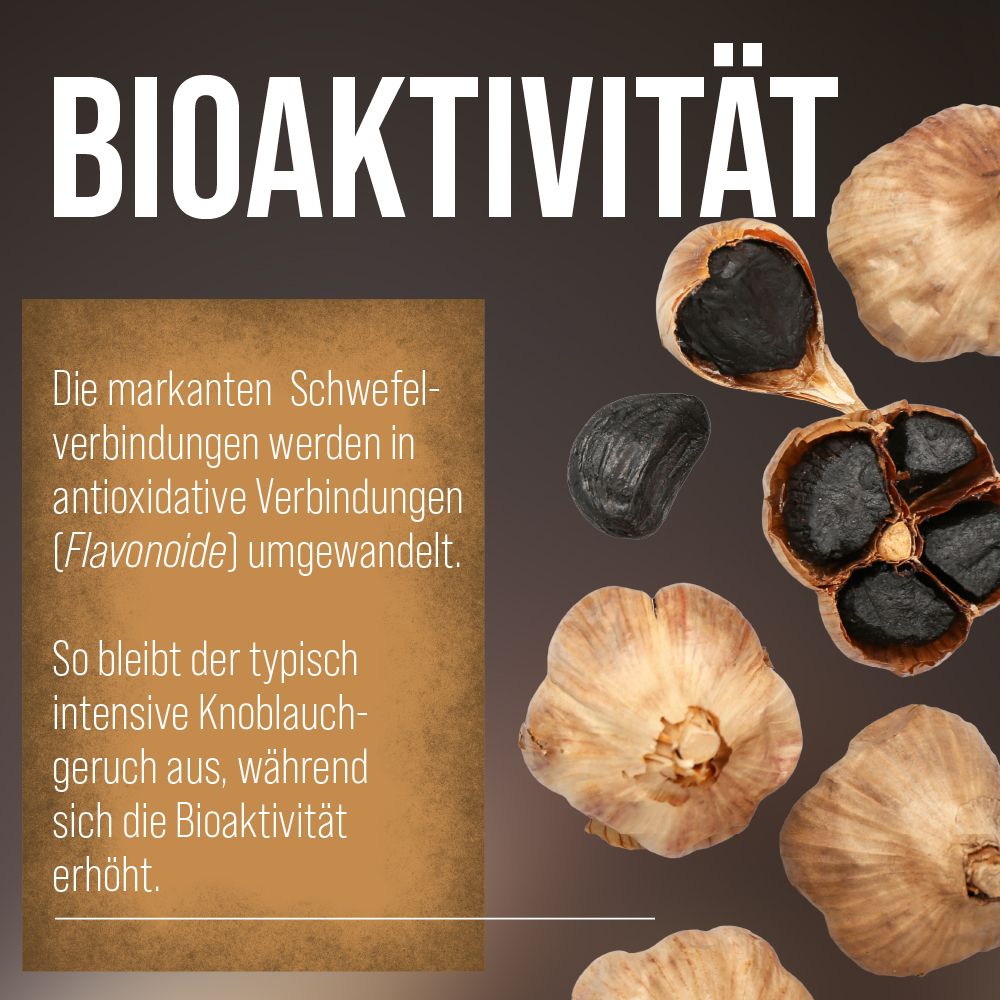Schwarzer Knoblauch und Knoblauchzehen. Text: Bioaktivität, Umwandlung von Schwefelverbindungen in Flavonoide.