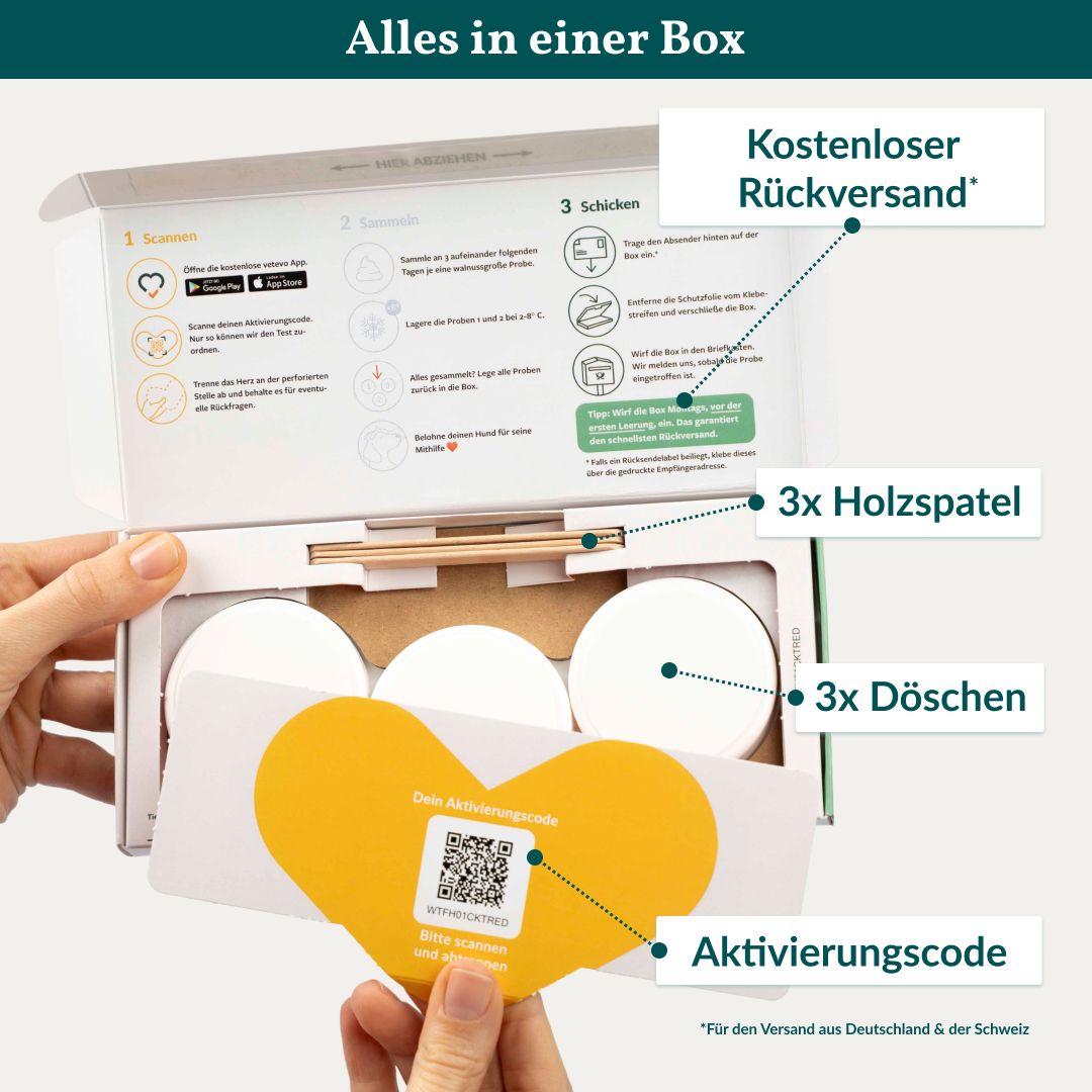 Geöffnete Box mit Inhalt: 3 Döschen, 3 Holzspatel, Aktivierungscode. Text: Kostenloser Rückversand.