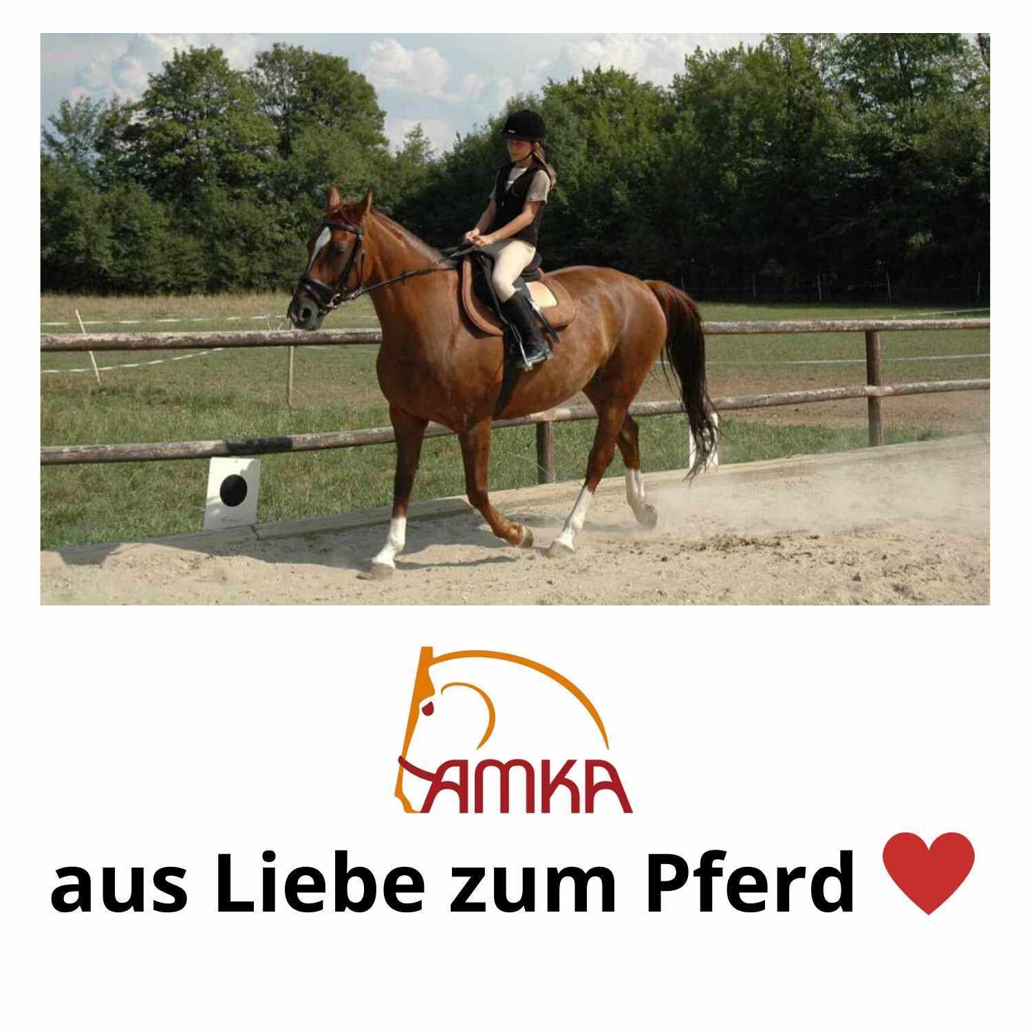 Reiterin auf braunem Pferd in Reithalle. AMKA Logo und Text: 'aus Liebe zum Pferd'.