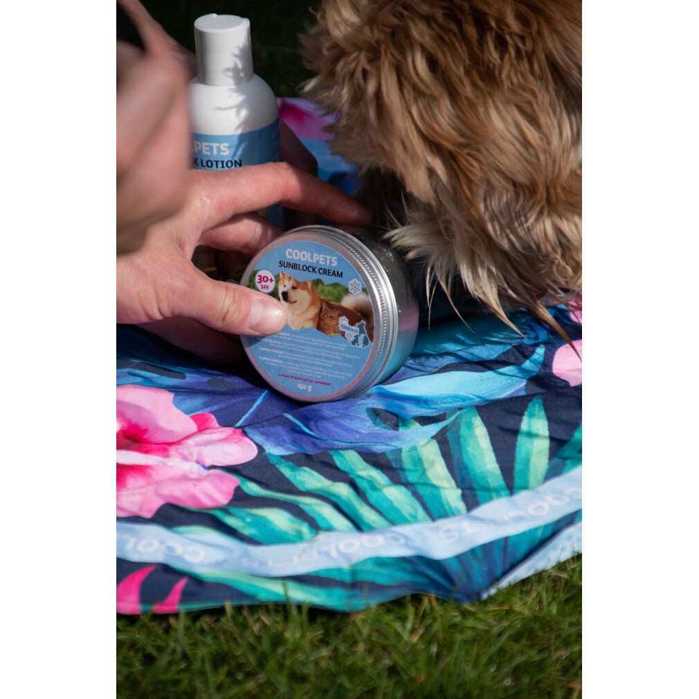 Eine Hand berührt eine Dose COOLPETS Sunblock Cream. Auf der Dose steht SPF 30+ und 24 Stunden Schutz. Auf einem bunten Tuch.