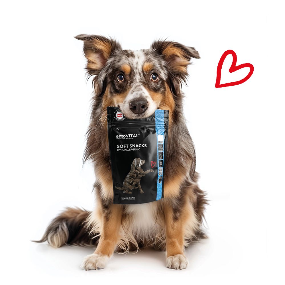 Hund hält schwarze Verpackung mit Produktnamen und Logo. Rotes Herz. Text: SOFT SNACKS HYPOALLERGENIC.