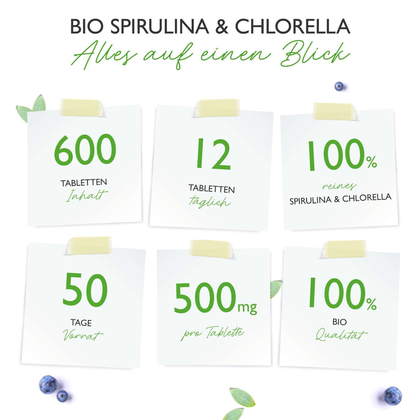 6 Notizzettel mit Informationen: 600 Tabletten Inhalt, 12 Tabletten täglich, 100% reines Spirulina & Chlorella, 50 Tage Vorrat, 500mg pro Tablette.