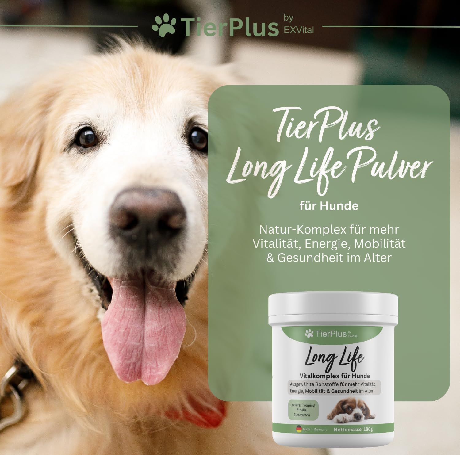 TierPlus Long Life Pulver für Hunde: Dose und lächelnder Golden Retriever. Natur-Komplex für Vitalität.