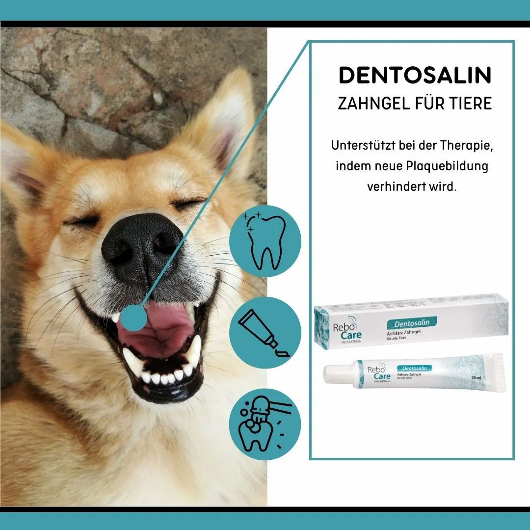 Dentosalin Adhäsives Zahngel