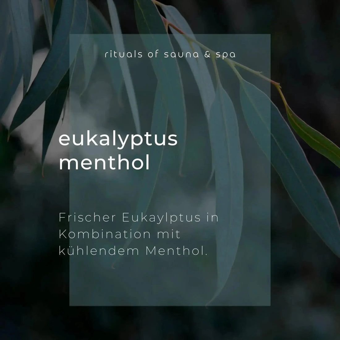 Text auf grünem Hintergrund: Eukalyptus Menthol. Frischer Eukalyptus in Kombination mit kühlendem Menthol.