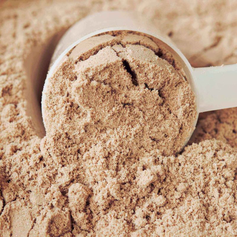 nur.fit BIO Vegan Schoko Protein