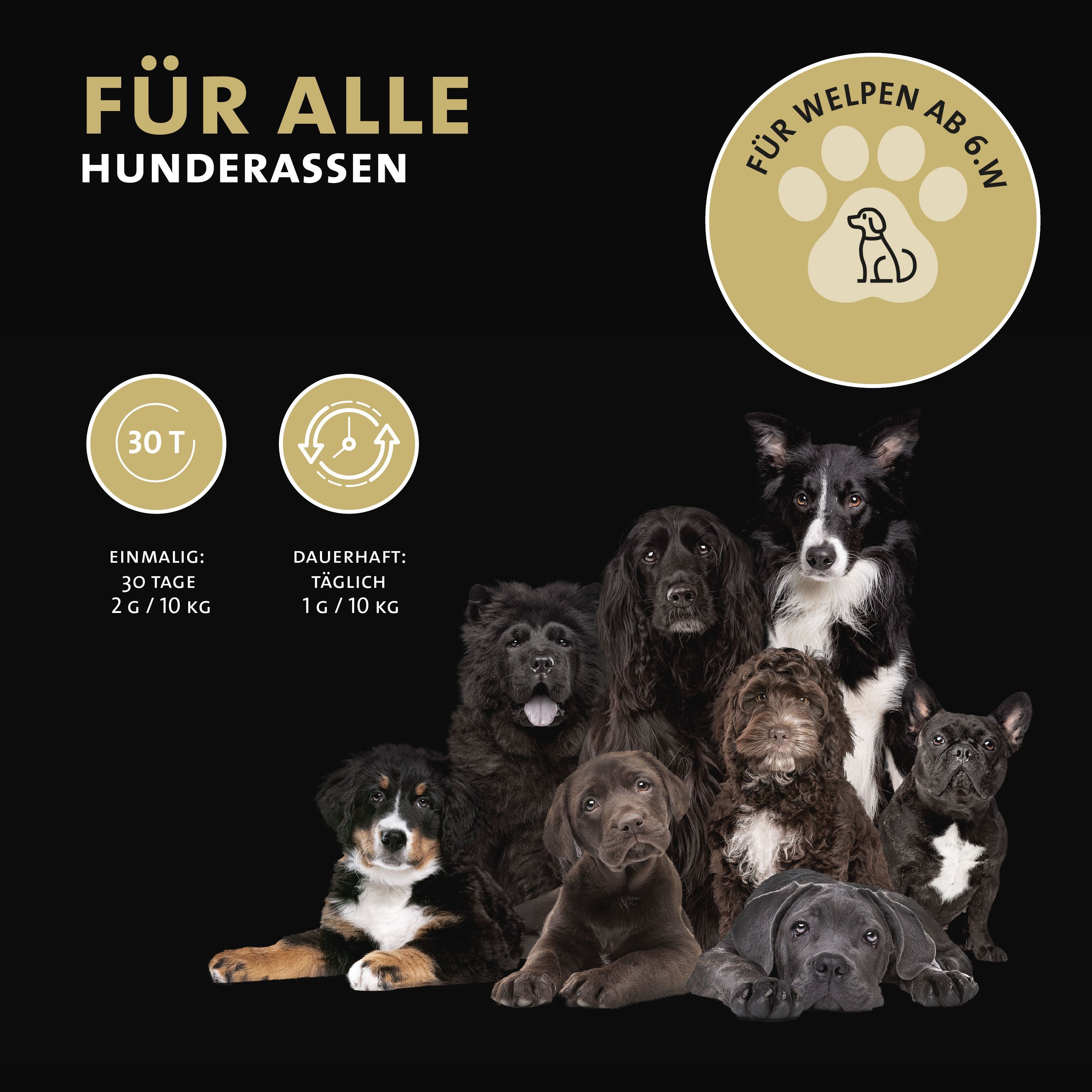 Verschiedene Hunde. Text: Für alle Hunderassen. Für Welpen ab 6.W. Dosierung: 2g/10 kg, 1g/10 kg.