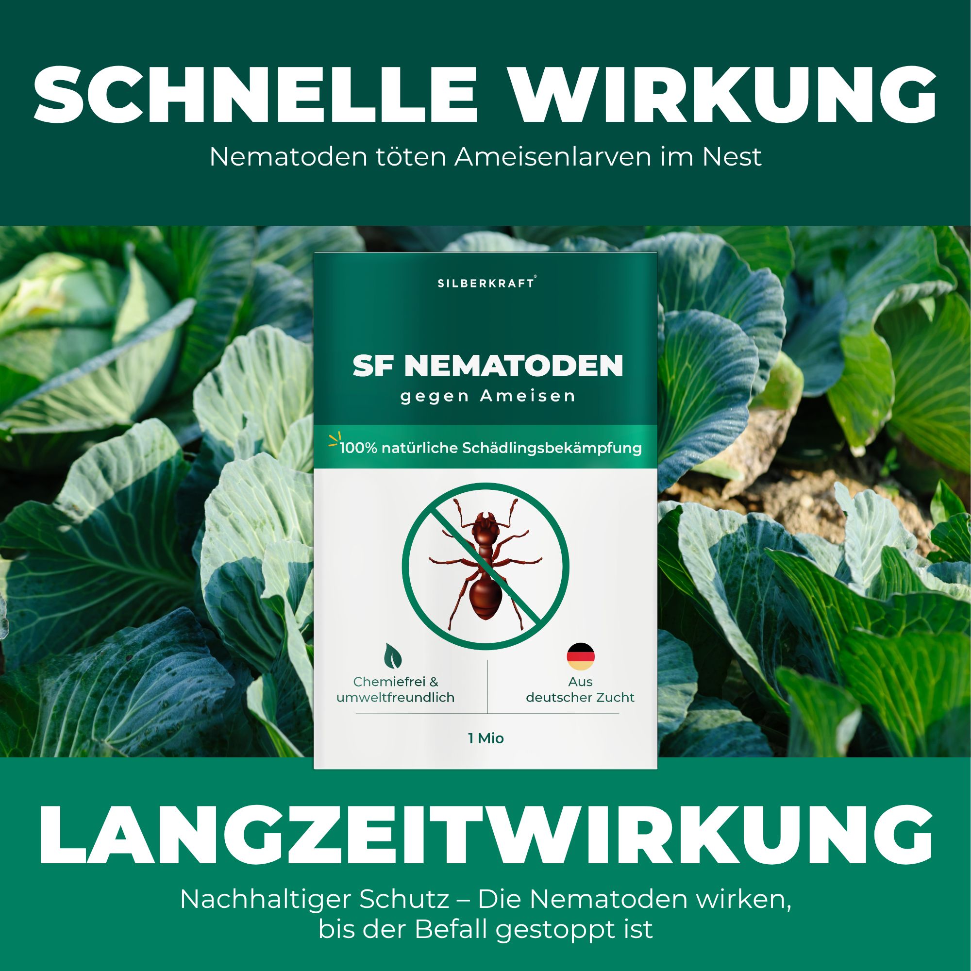 Verpackung für SF Nematoden gegen Ameisen, mit Ameisensymbol und "100% natürliche Schädlingsbekämpfung".