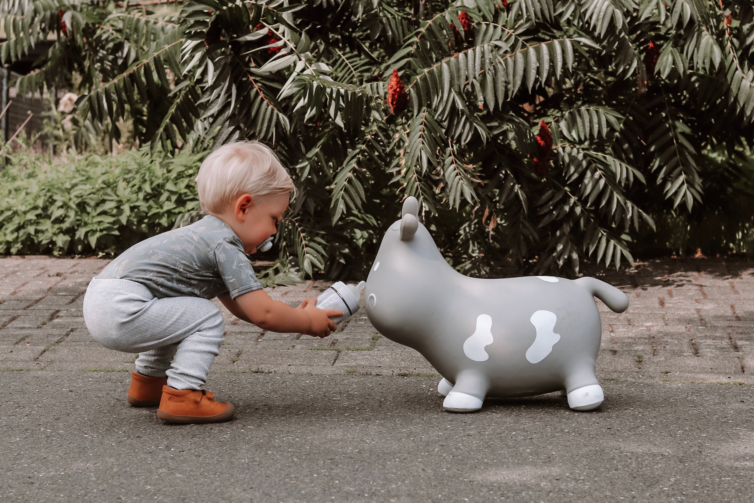 Hüpftier / Hüpfkuh / Hüpfspielzeug - Bella the Cow für drinnen und ...