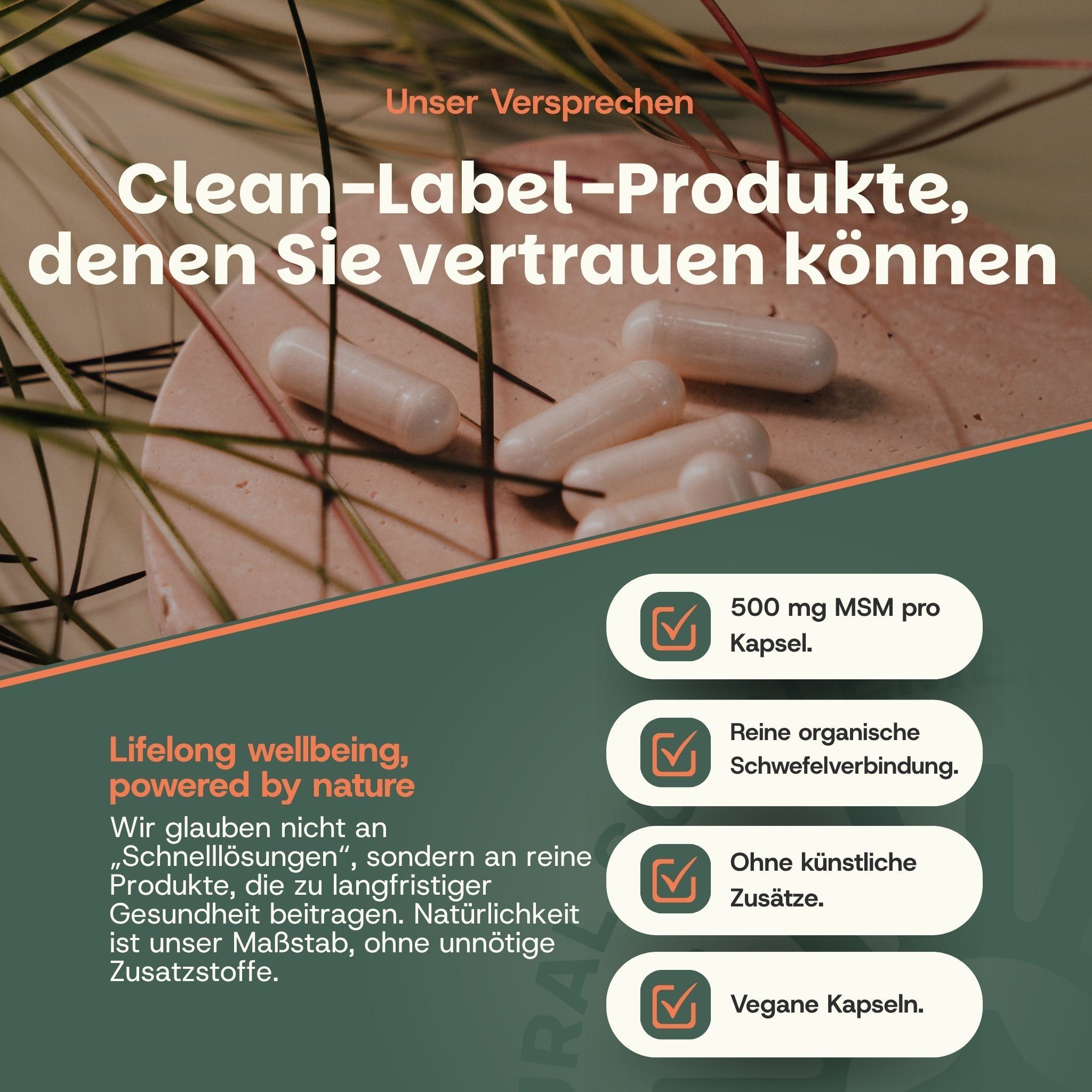 Mehrere weiße Kapseln liegen auf einer runden, hellen Oberfläche, umgeben von Gräsern. Rechts sind Details zu 500 mg MSM, organischer Schwefelverbindung, ohne Zusätze und veganen Kapseln.