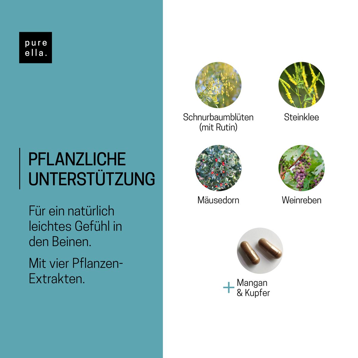 Vier Pflanzenextrakte und zwei Kapseln. Text: Pflanzliche Unterstützung. Für ein leichtes Gefühl in den Beinen.