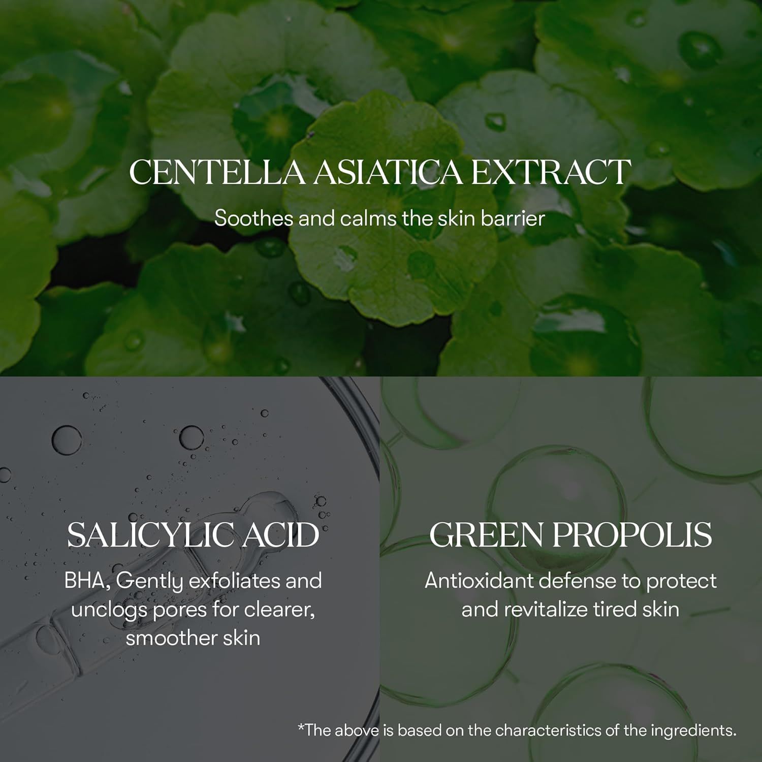 Grafik mit Inhaltsstoffen: Centella Asiatica Extrakt, Salicylsäure, Grünes Propolis. Beschreibungen der Inhaltsstoffe und deren Wirkung.
