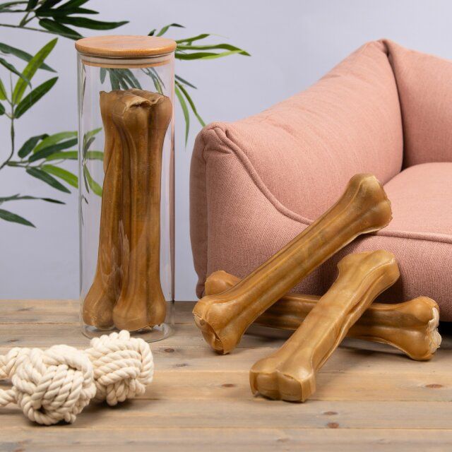 Kauknochen, Glasbehälter mit Kauknochen, Seilspielzeug, rosa Sofa auf Holzuntergrund.