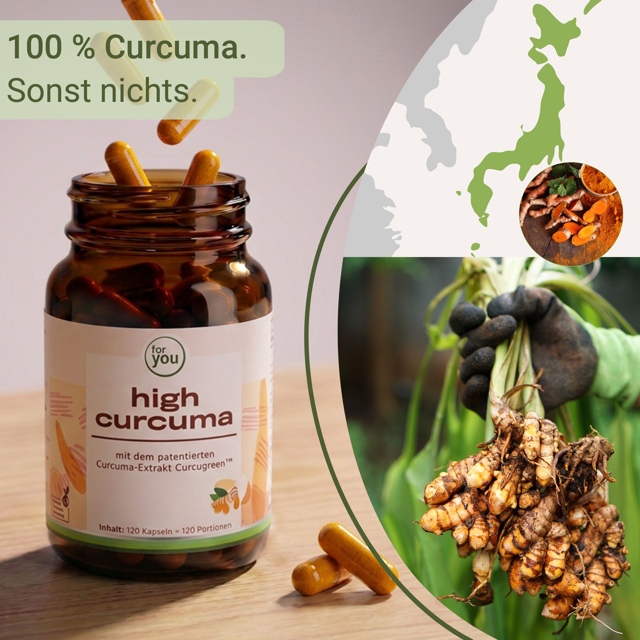 Flasche 'for you high curcuma' mit Kurkuma-Ernte. 100% Curcuma.
