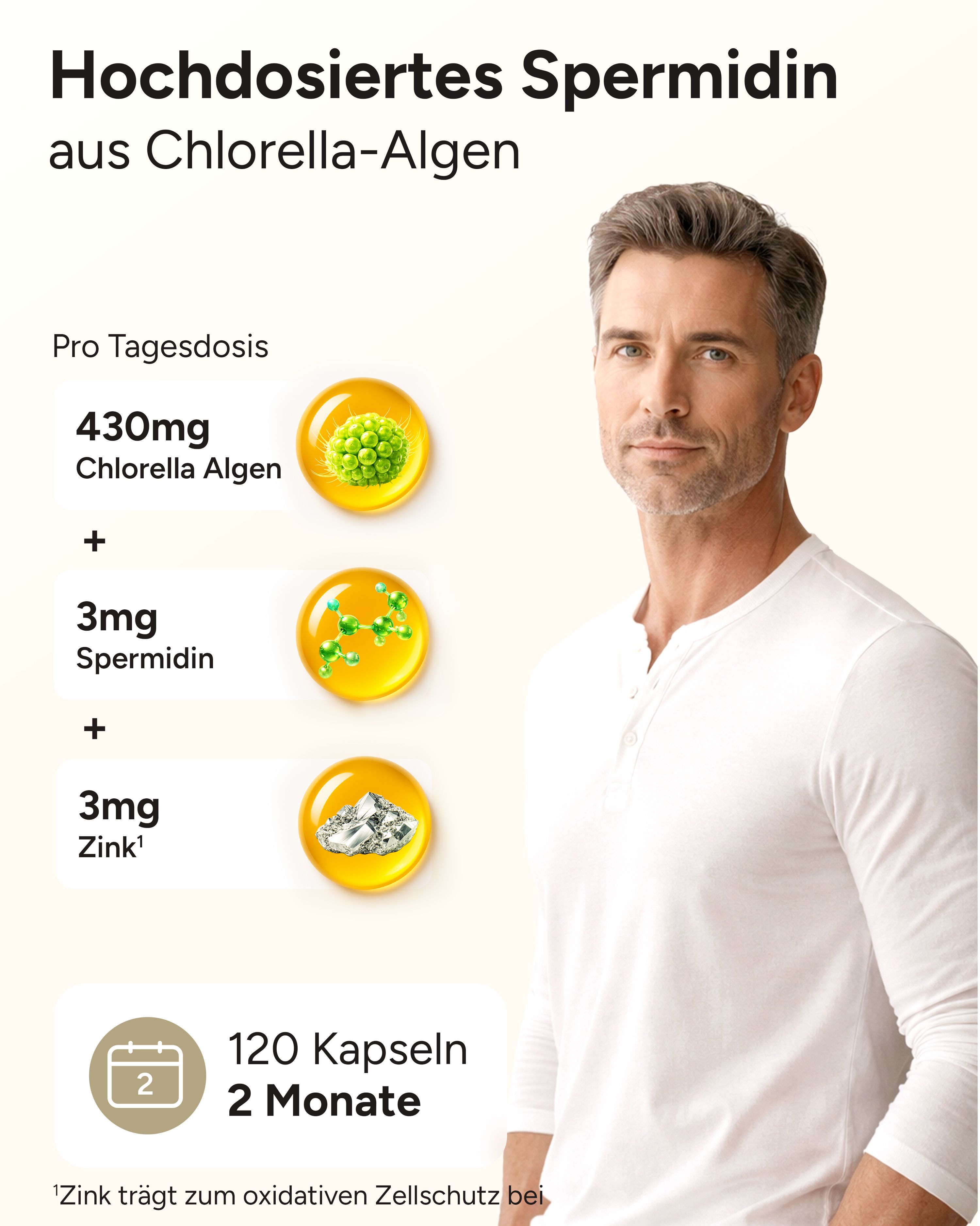 Grafik mit Inhaltsstoffen: Chlorella Algen, Spermidin, Zink. Mann im Hintergrund. Text: Hochdosiertes Spermidin.