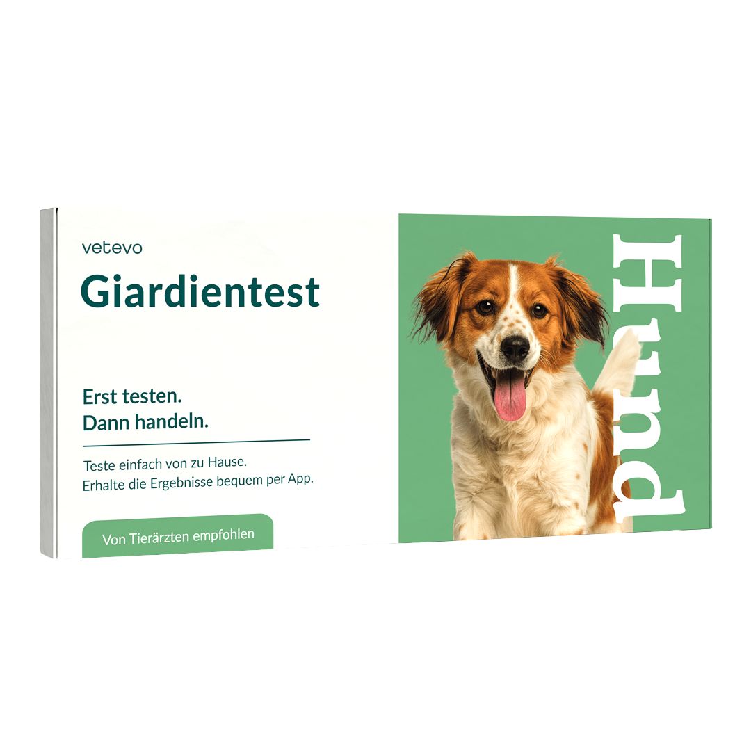 Produktverpackung mit dem Logo 'vetevo' und dem Text 'Giardientest'. Auf der Verpackung ist ein Hund abgebildet.