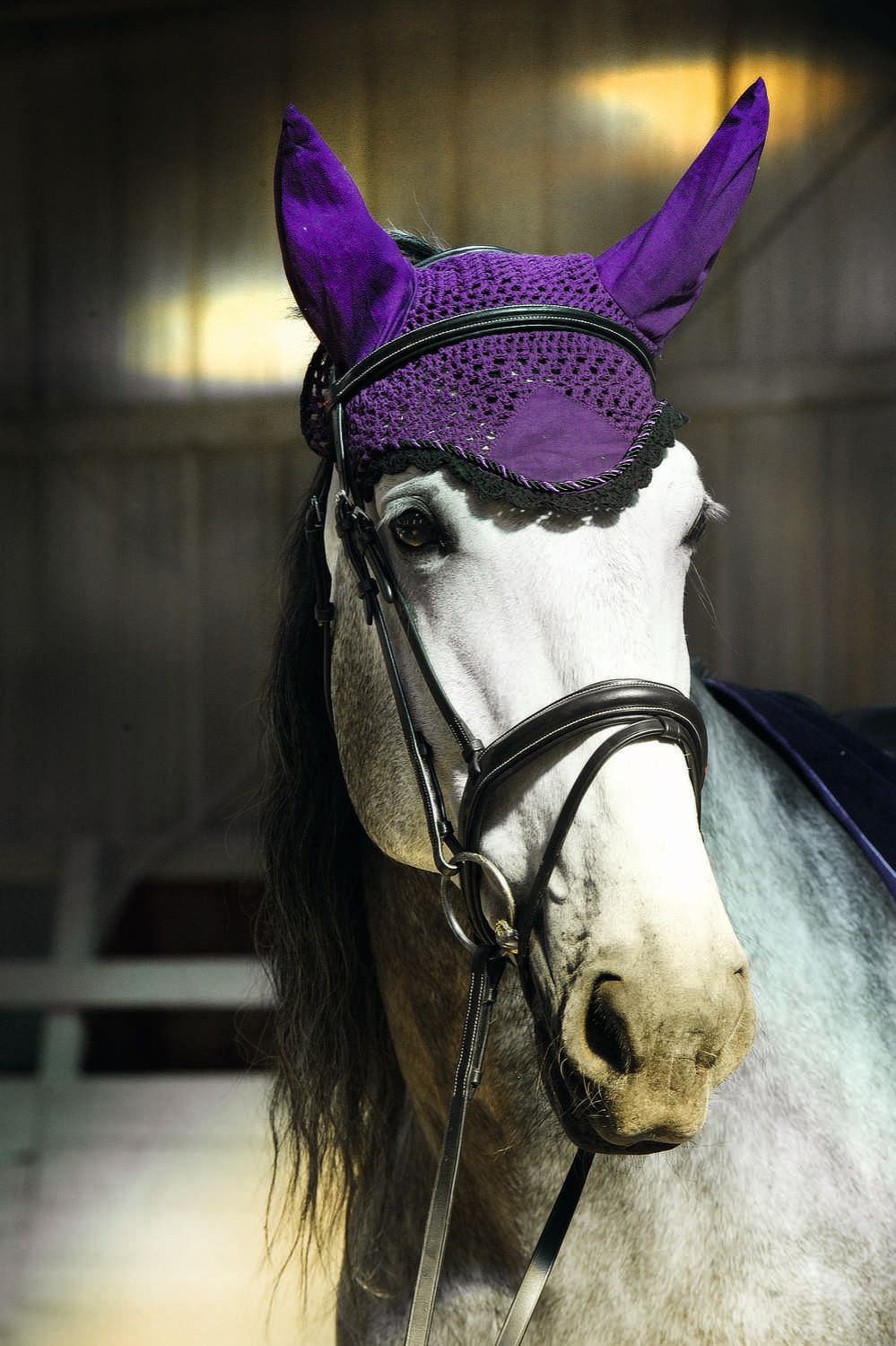 Pferd mit violetter Fliegenhaube. Gehäkeltes Material, Ohrenschutz, schwarze Zierleiste. Trense.