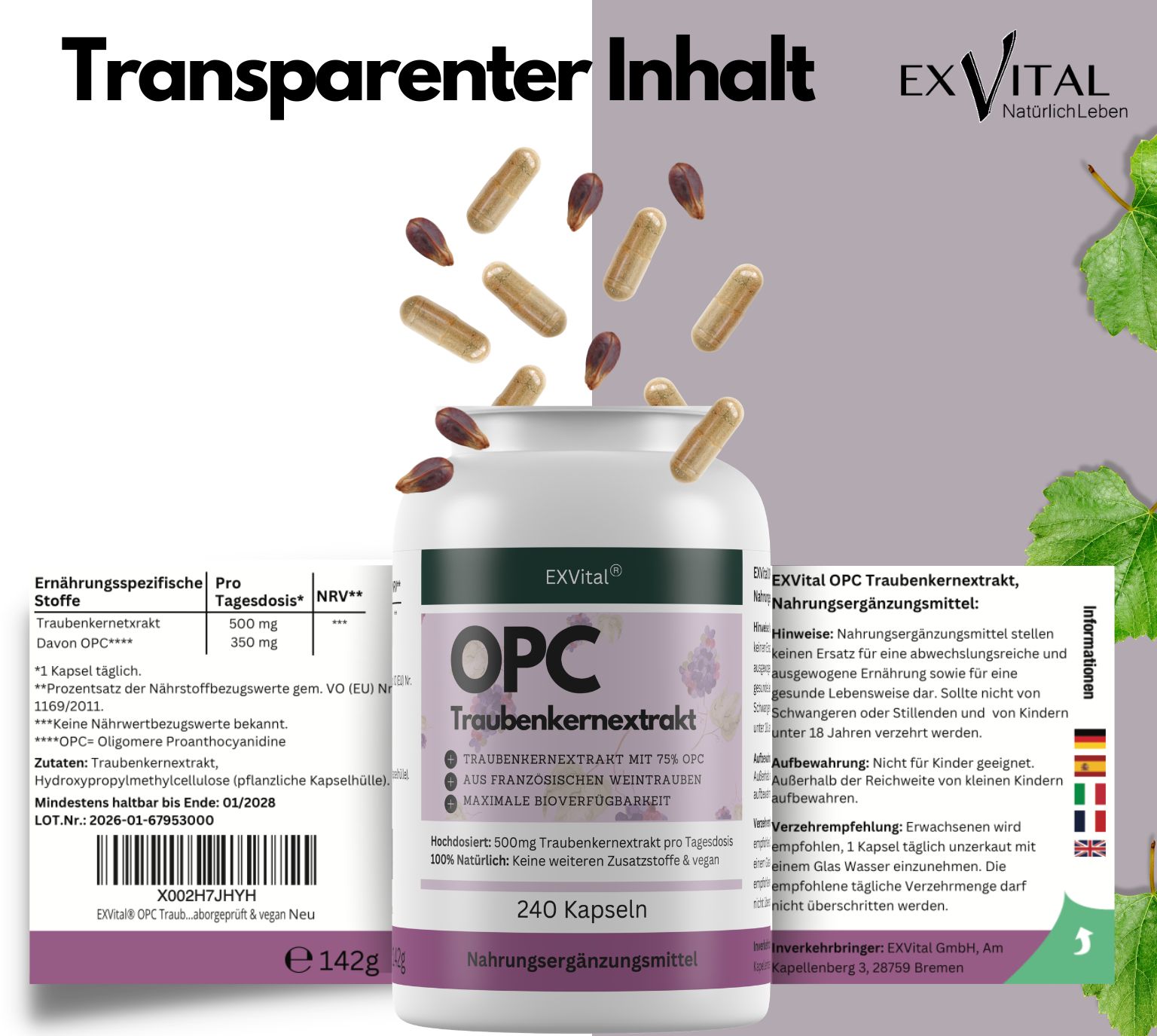 Flasche EXVital OPC Traubenkernextrakt mit Nährwertangaben und Siegeln.