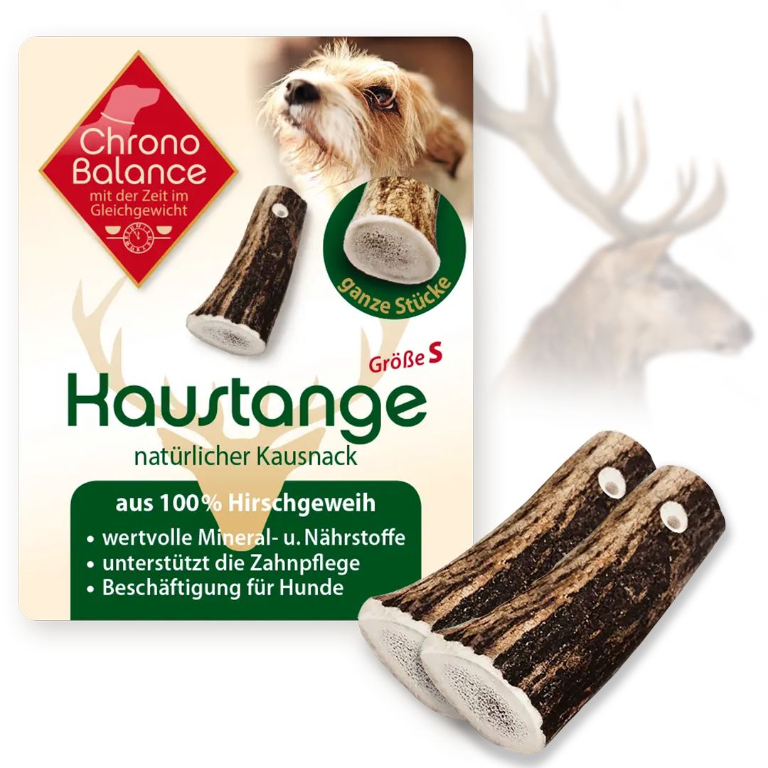 Zwei Rothirsch-Geweihstangen. Aufschrift: Chrono Balance, Kausnack, aus 100% Hirschgeweih. Größe S. Ganze Stücke.