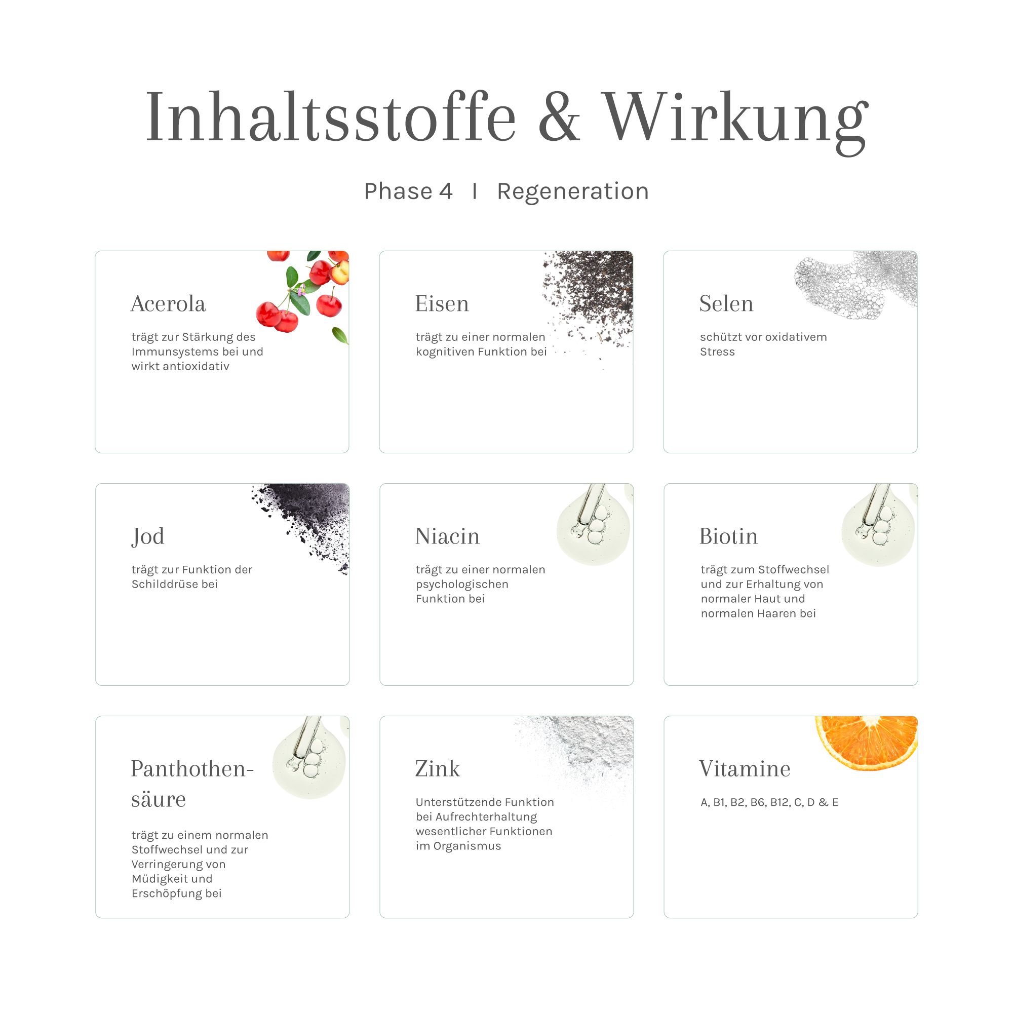 Infografik mit Inhaltsstoffen und Wirkung von Phase 4 Regeneration. Acerola, Eisen, Selen, Jod, Niacin, Biotin, Zink.
