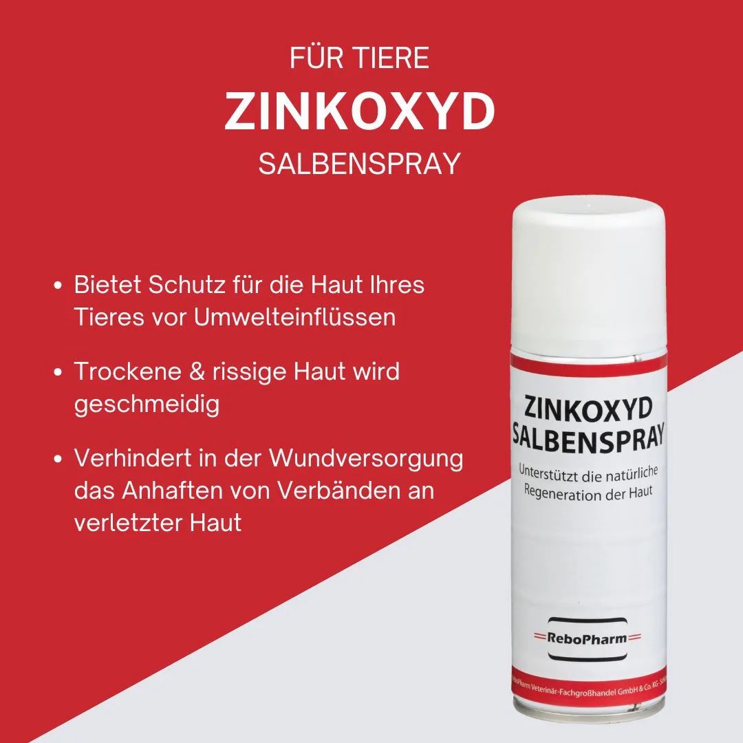 Zinkoxyd Salbenspray Dose auf rotem Hintergrund mit Text.