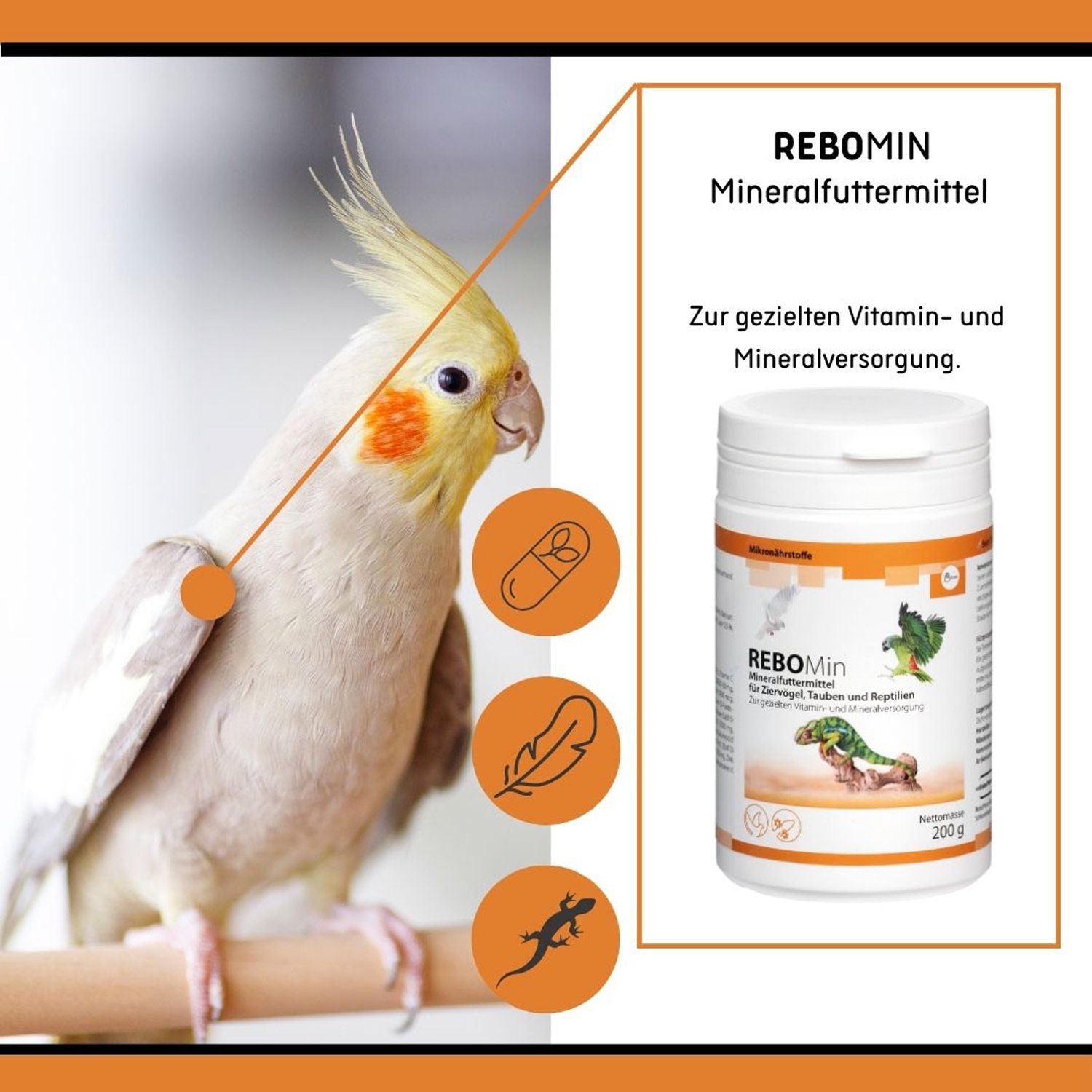 ReboMin Mineralfuttermittel Ziervögel, Tauben und Reptilien