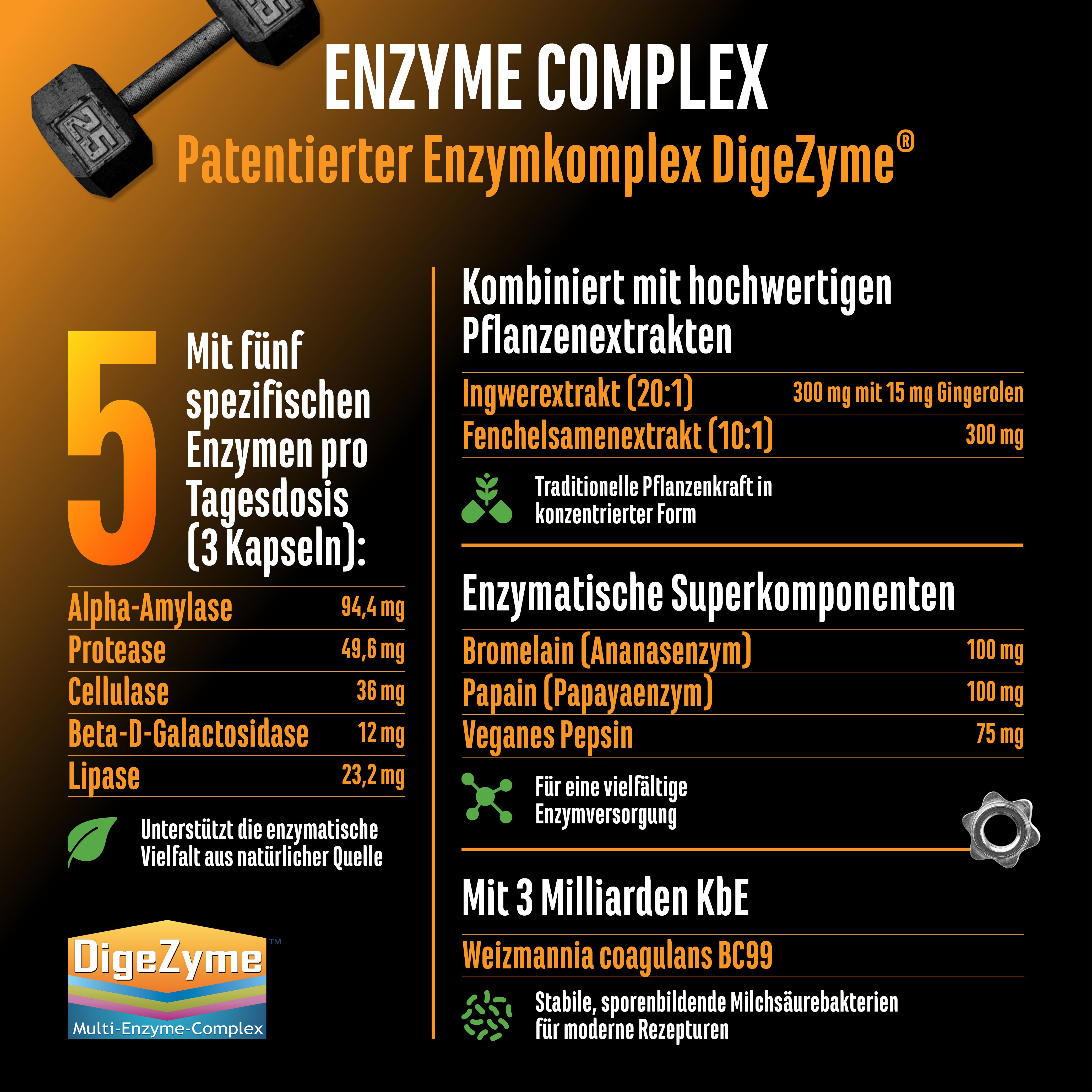 Diagramm mit Inhaltsstoffen von GEN Enzym Complex. Enthält Enzyme, Pflanzenextrakte und Milchsäurebakterien. 5 Enzyme pro Tagesdosis (3 Kapseln).