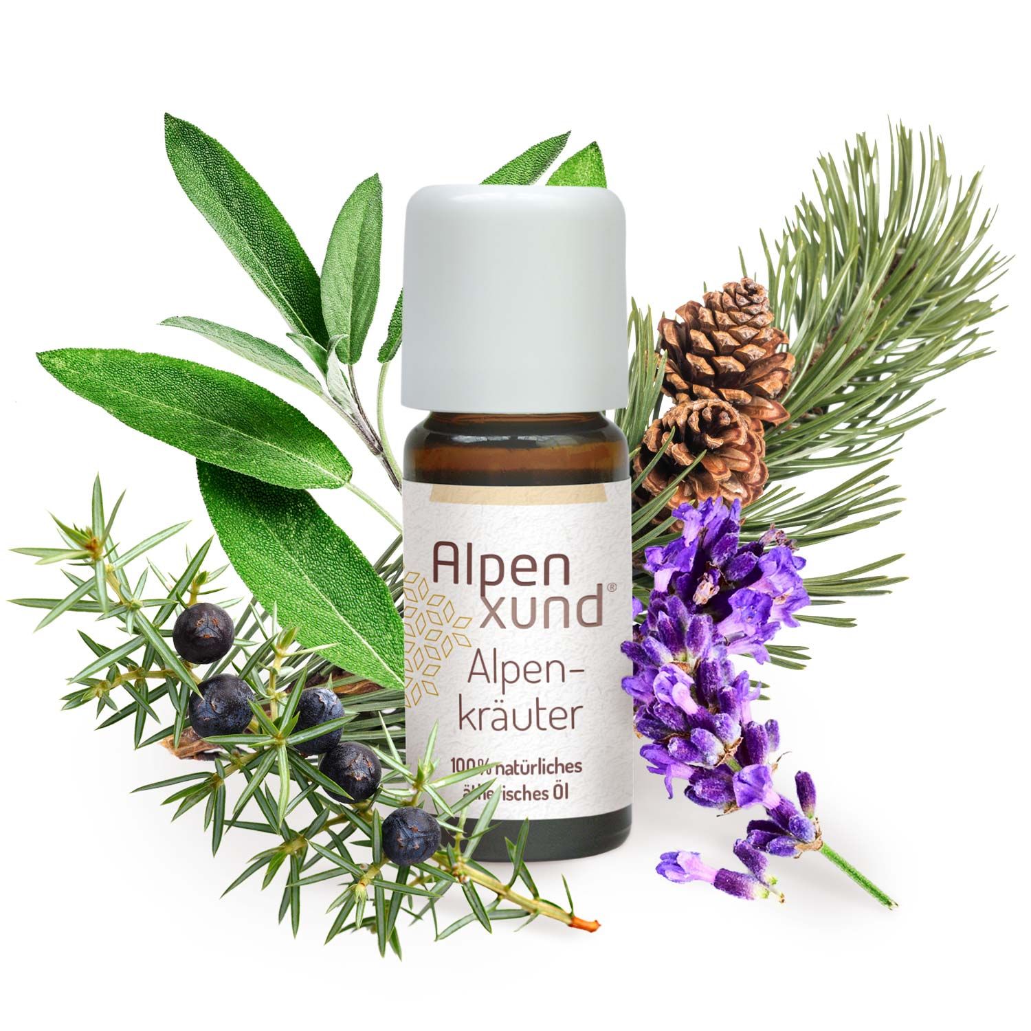 AlpenXund | Alpenkräuteröl