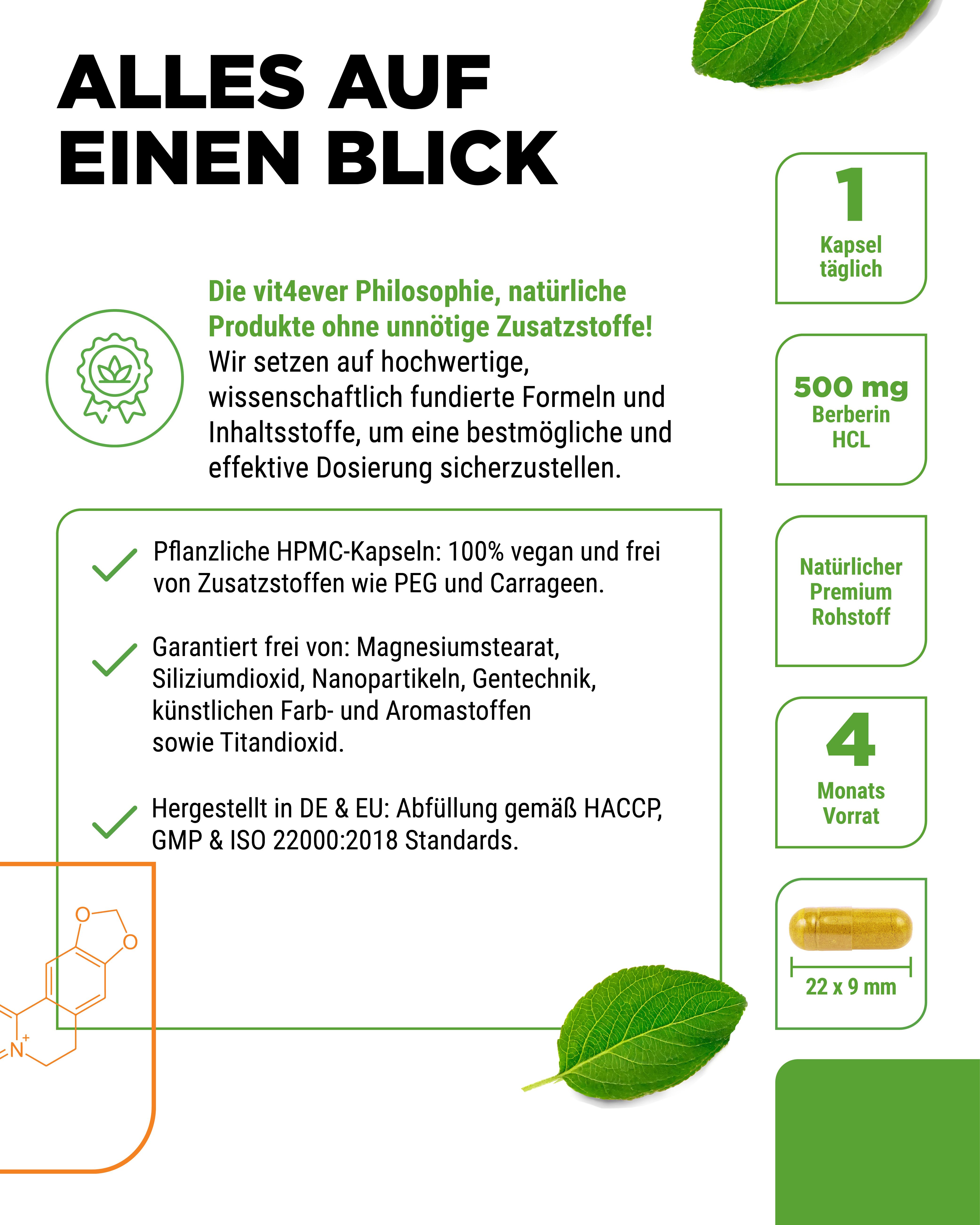 Infografik mit Produktinformationen. Aufschrift: 1 Kapsel täglich, 500 mg Berberin HCL, 4 Monats Vorrat. HPMC-Kapseln, vegan.