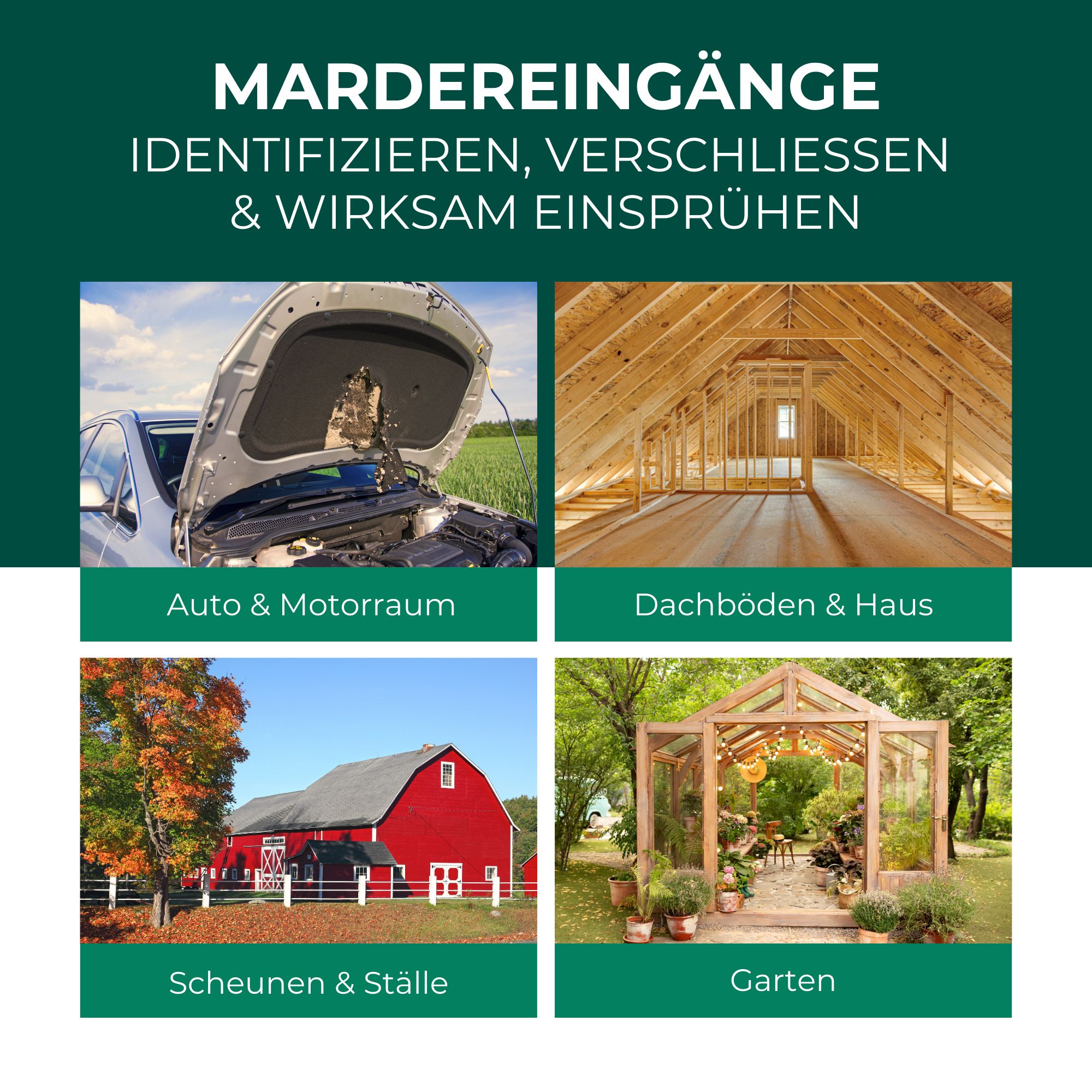 SILBEKRAFT Marderspray