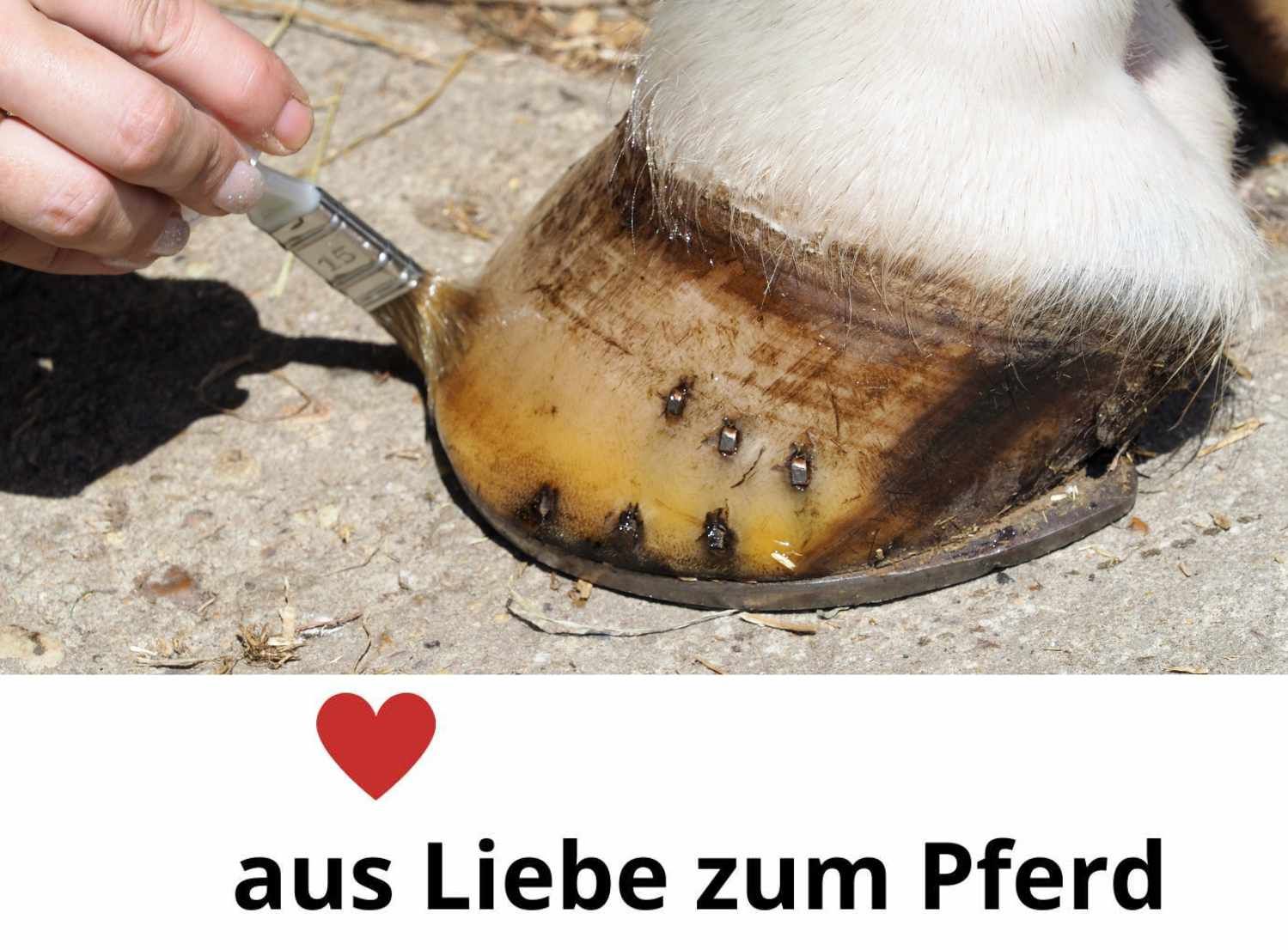 Pferdehuf wird mit Pinsel behandelt. Text: aus Liebe zum Pferd. Huf mit Eisen.
