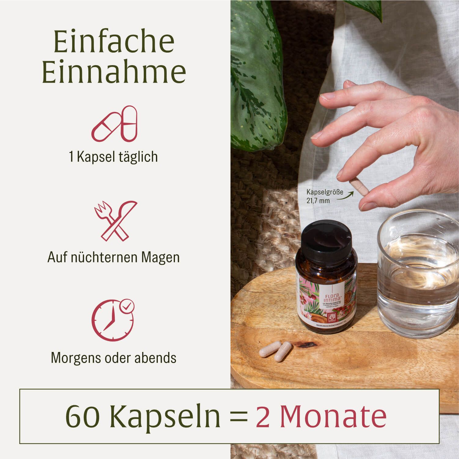 Grafik mit Produktflasche und Kapseln. Text: Einfache Einnahme. 1 Kapsel täglich. Morgens oder abends. 60 Kapseln = 2 Monate.