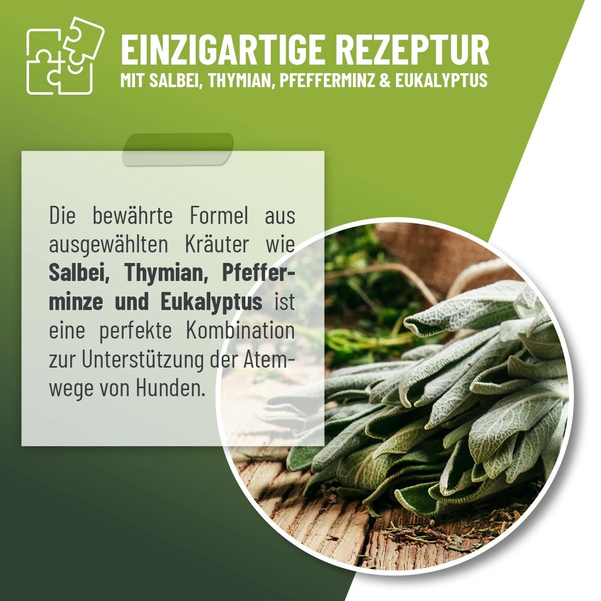 Grafik mit Salbei-Blättern. Text: Einzigartige Rezeptur mit Salbei, Thymian, Pfefferminze & Eukalyptus.