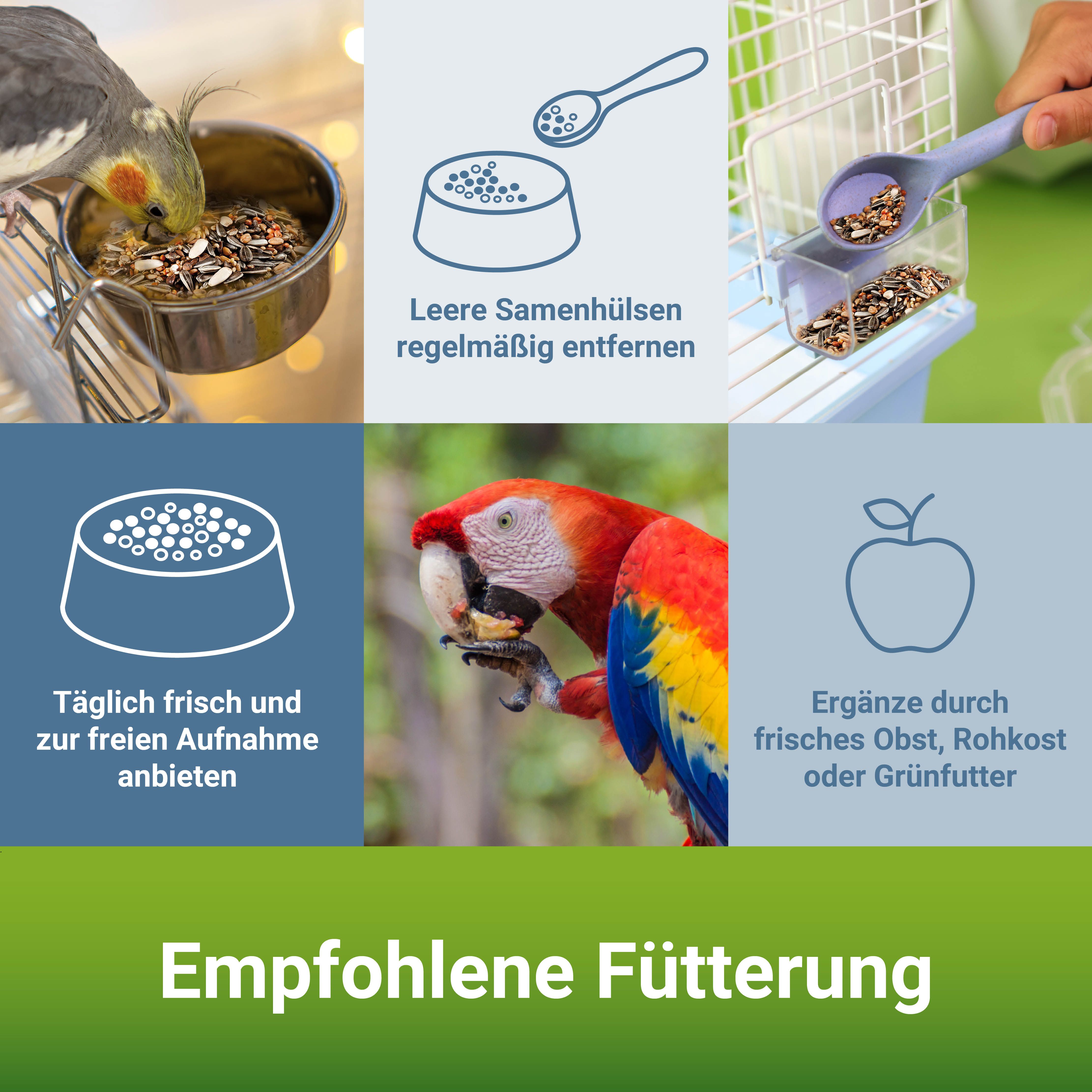 PANTO® Großsittich- und Papageienfutter mit Pluramin®