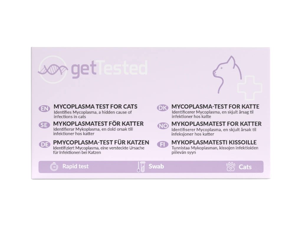 GetTested Mycoplasma-Test für Katzen. Enthält Informationen in verschiedenen Sprachen, einschließlich Deutsch. Mit Symbolen für Test, Tupfer und Katze.