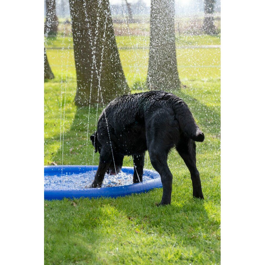 Blauer, runder Pool mit Wasserstrahlen. Ein schwarzer Hund steht im Pool und trinkt Wasser. Im Hintergrund Bäume und Gras.