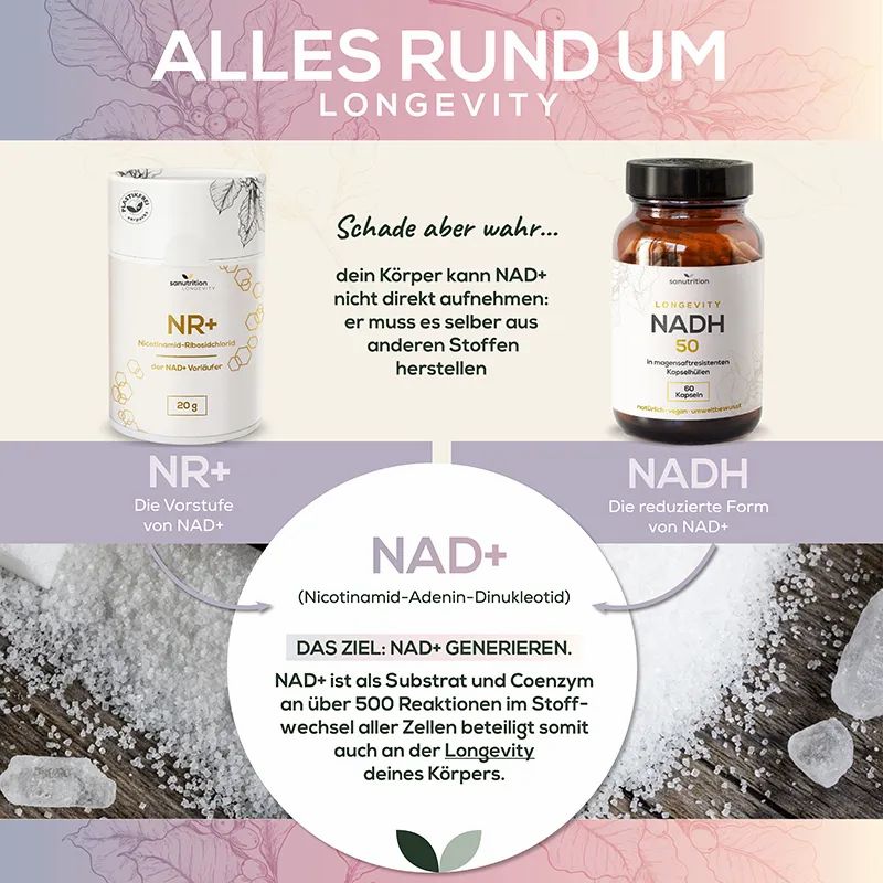 Vergleich von Sanutrition NR+ und NADH, Erklärung der NAD+ Generierung.