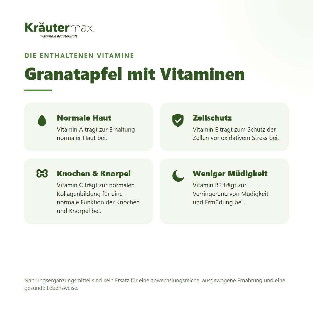 Vier Felder: Normale Haut, Zellschutz, Knochen & Knorpel, Weniger Müdigkeit. Mit Vitaminen.