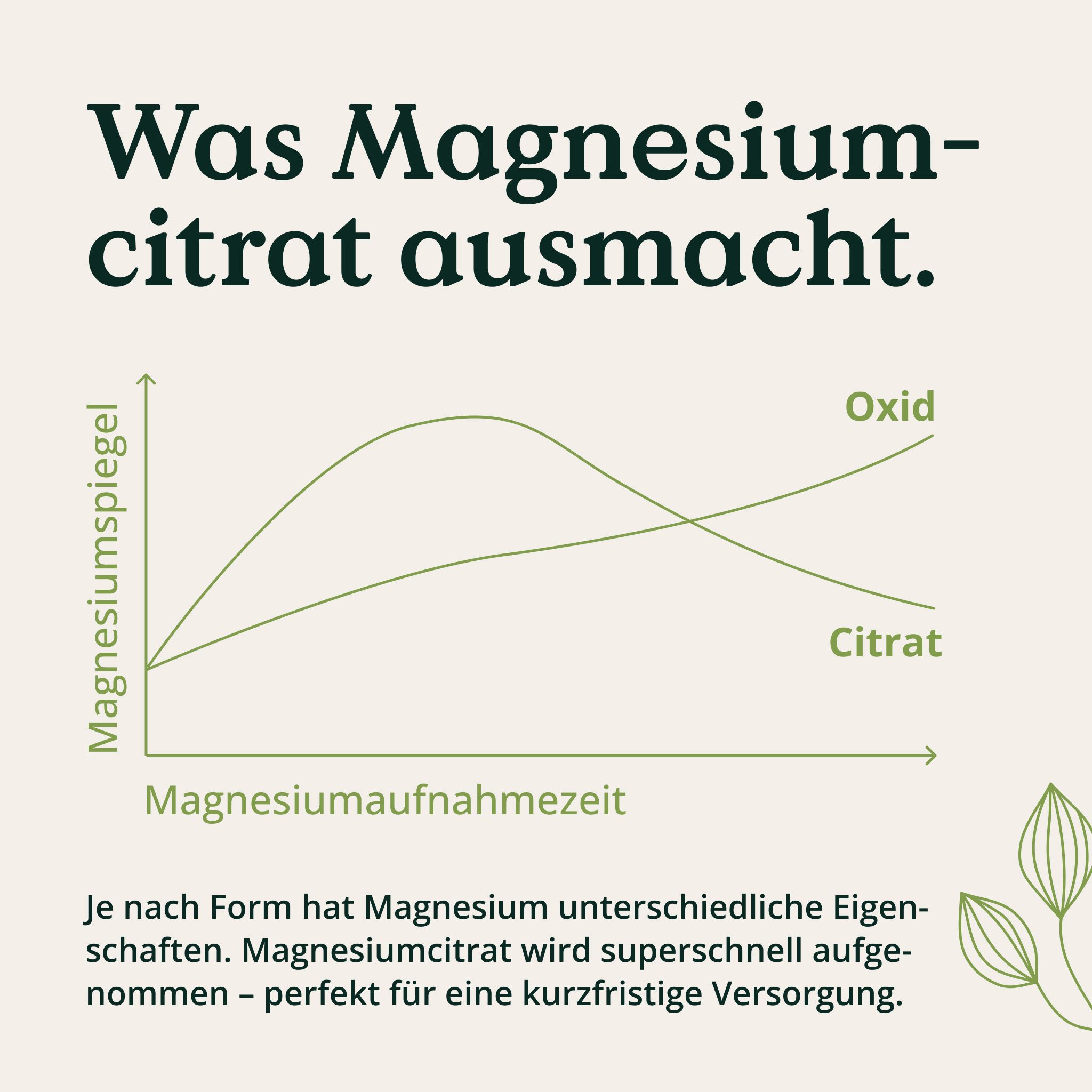 Diagramm: Magnesiumspiegel vs. Magnesiumaufnahmezeit. Kurve für Citrat und Oxid. Text: Was Magnesiumcitrat ausmacht.