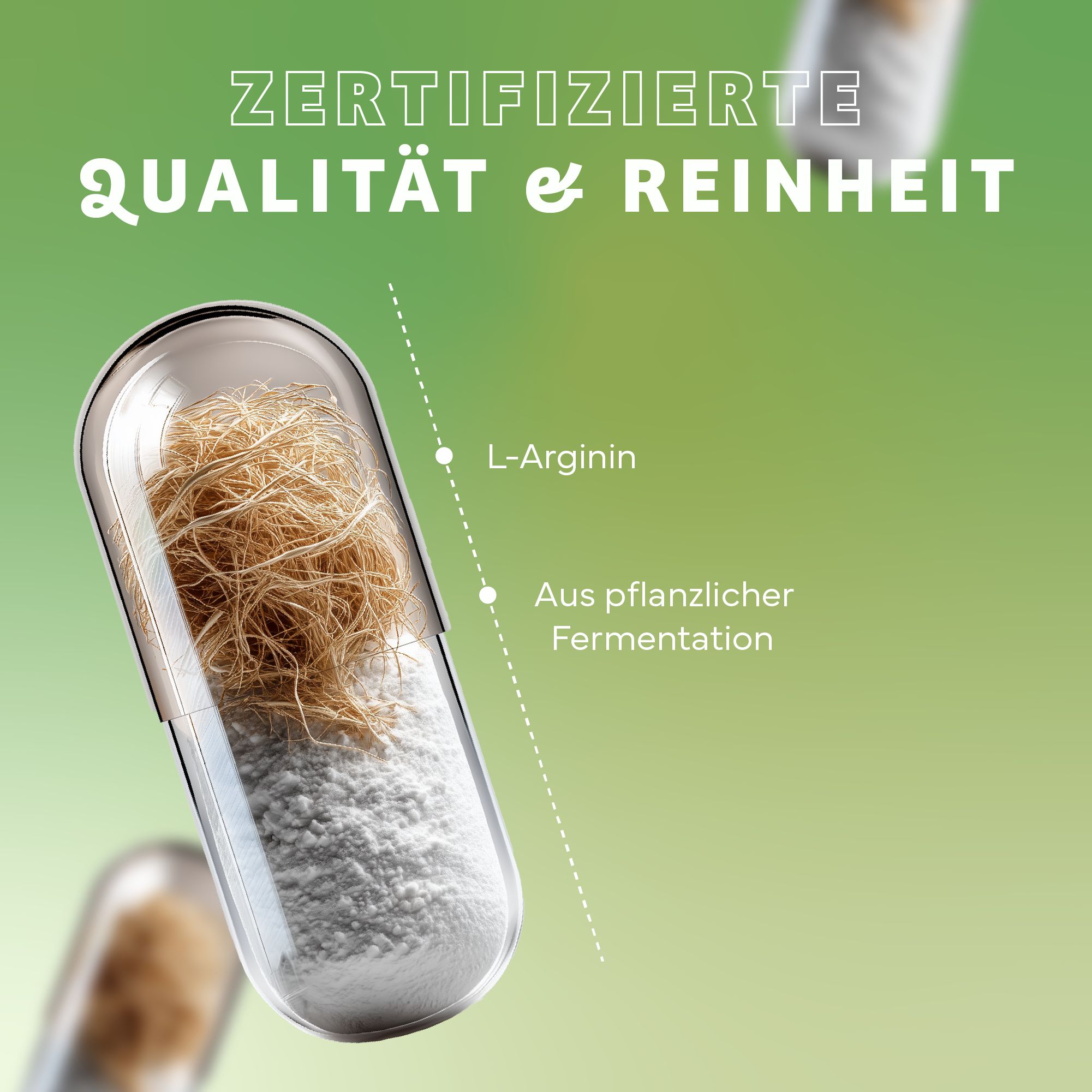Kapsel mit Inhalt. Text: L-Arginin, aus pflanzlicher Fermentation. Hintergrund: Zertifizierte Qualität & Reinheit.